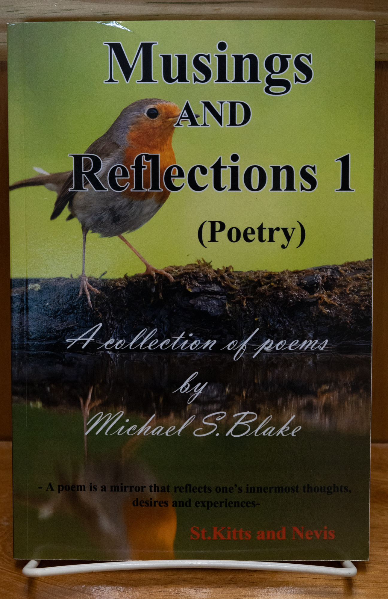 Musings and Reflections 1
