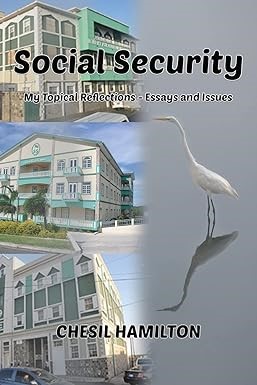 Social Security: My Topical Reflections - Essays and Issues Paperback