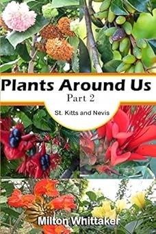 Plants Around Us Part 2